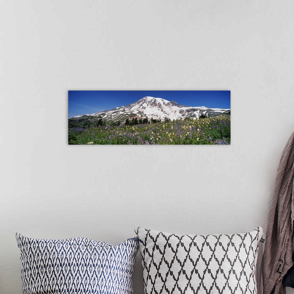 A bohemian room featuring Snowcapped mountain on a landscape, Mt Rainier, Mt Rainier National Park, Washington State