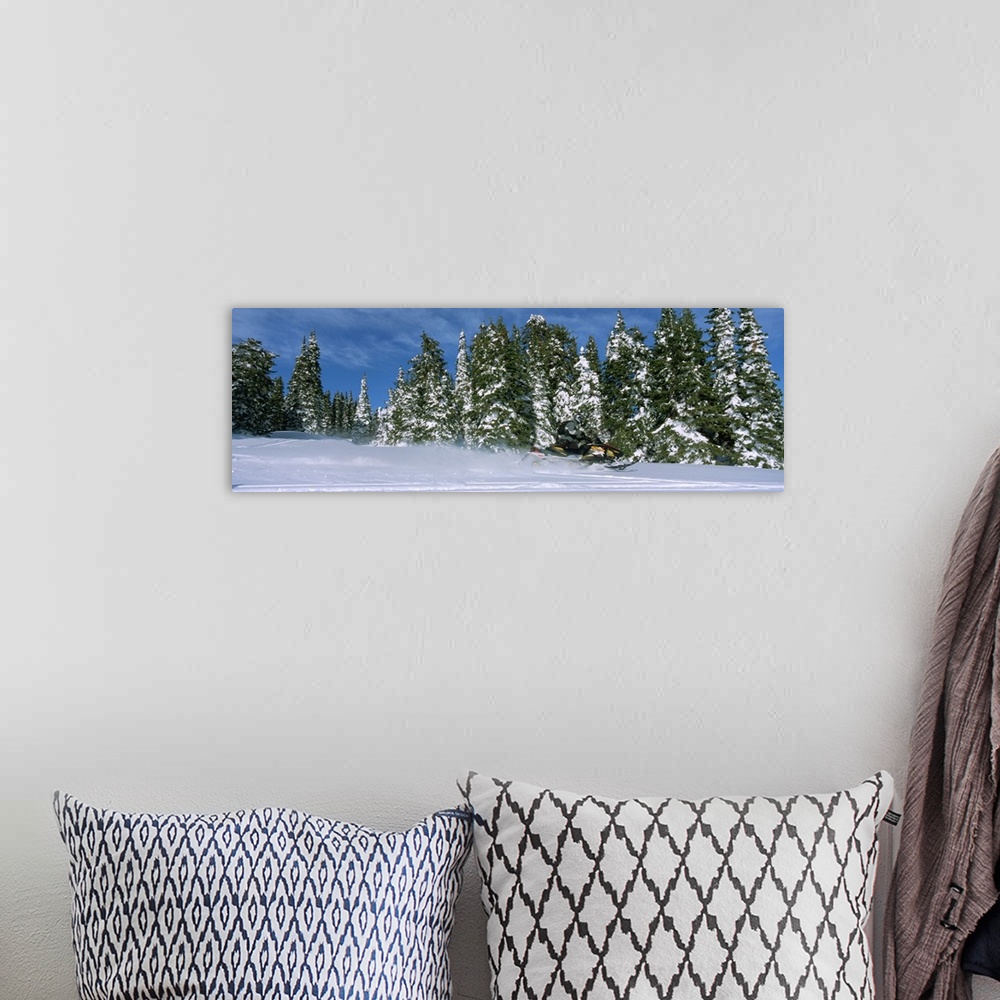 A bohemian room featuring Snowmobiling in Yellowstone National Forest CA