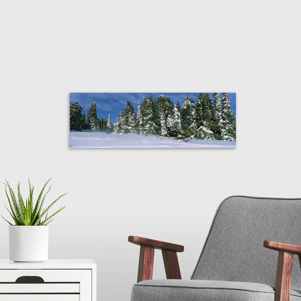 A modern room featuring Snowmobiling in Yellowstone National Forest CA