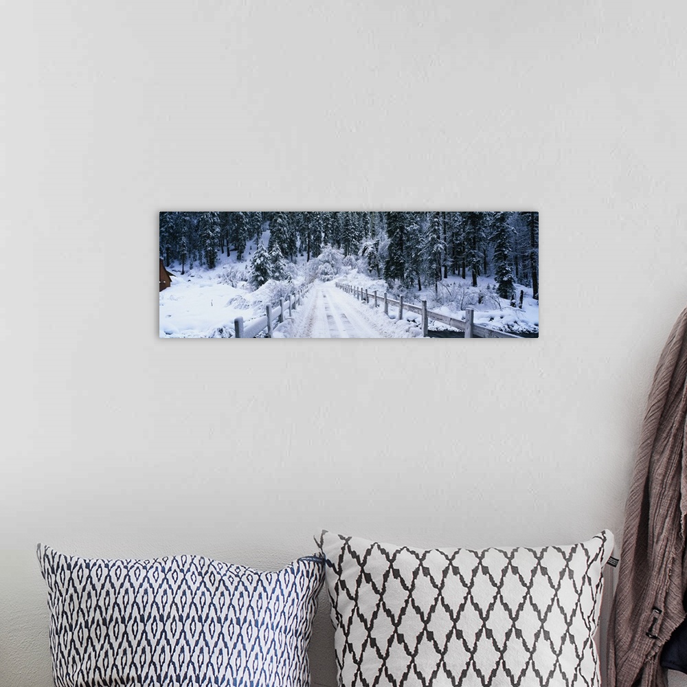 A bohemian room featuring Long photo of a snow covered bridge entering a snowy forest.