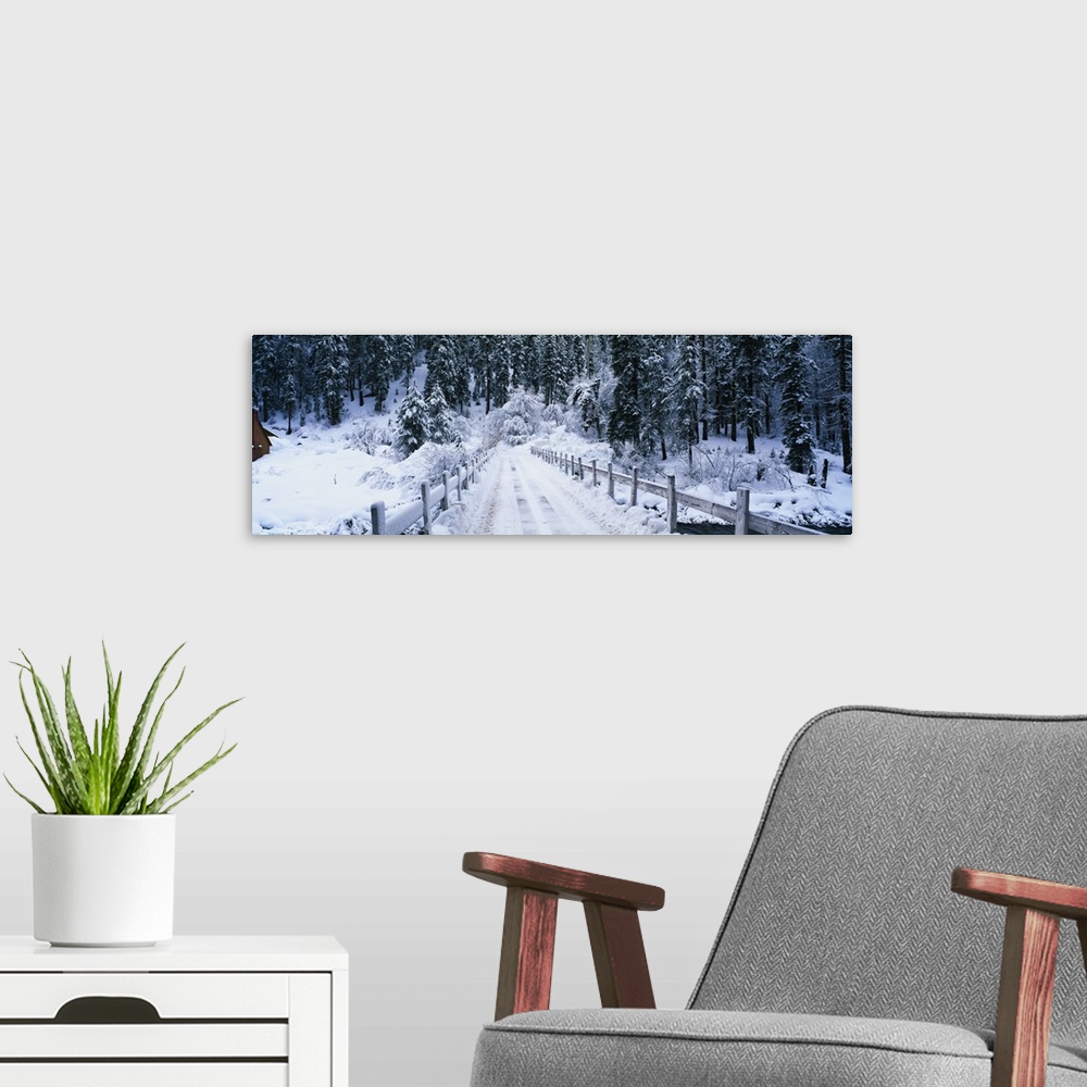 A modern room featuring Long photo of a snow covered bridge entering a snowy forest.