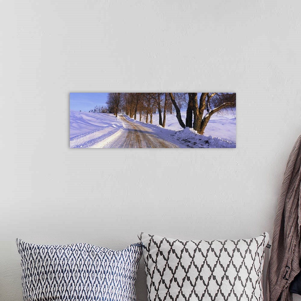 A bohemian room featuring Snowy Country Road