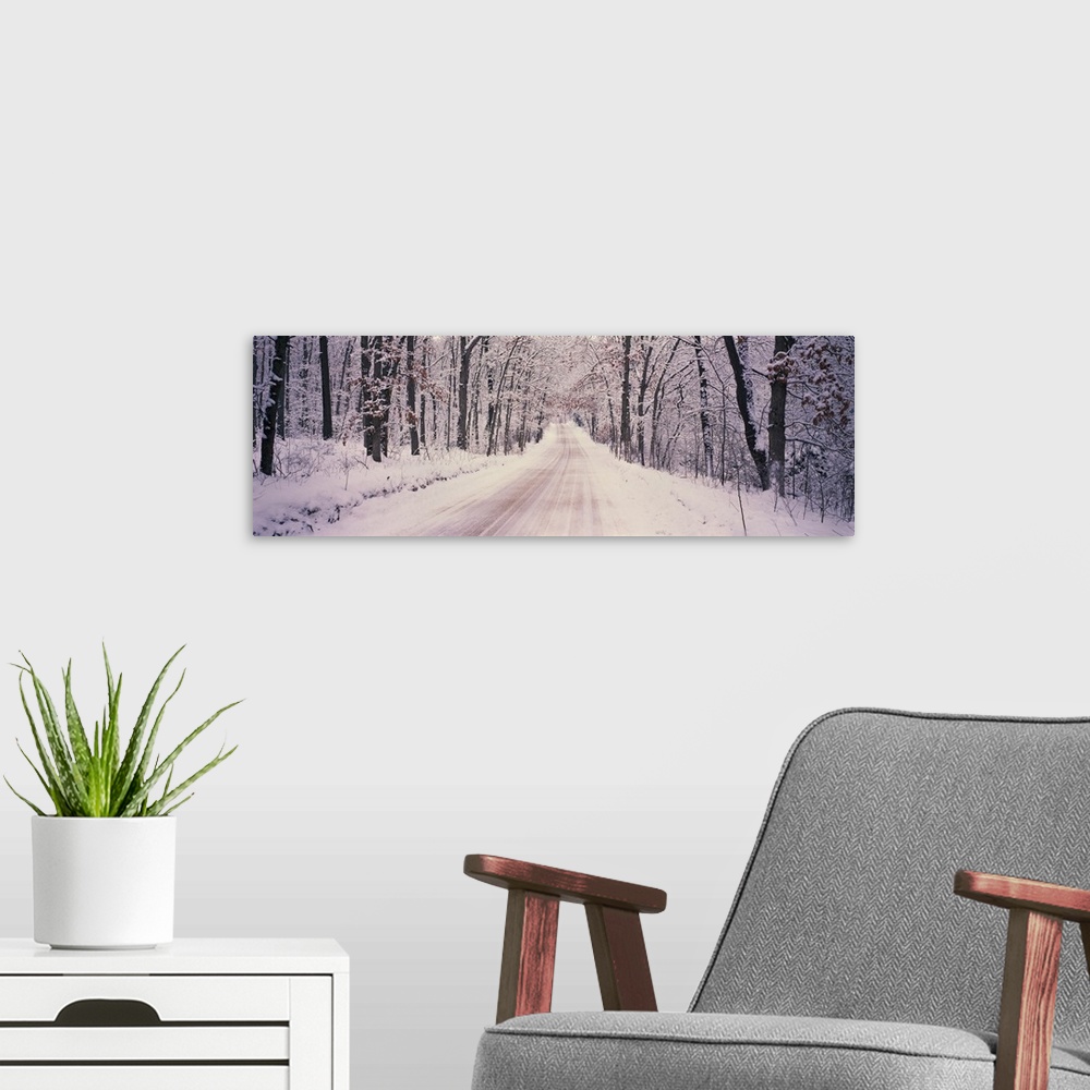 A modern room featuring This panoramic photograph shows a road way through a snowy forest on a winter day.