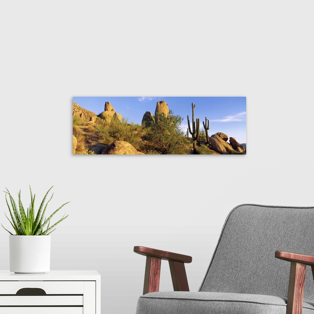 A modern room featuring Sonoran Desert AZ
