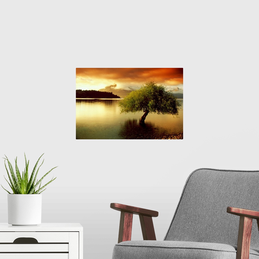 A modern room featuring A lone tree growing out of a lake during a dramatic sunset. This big landscape canvas has dark sh...