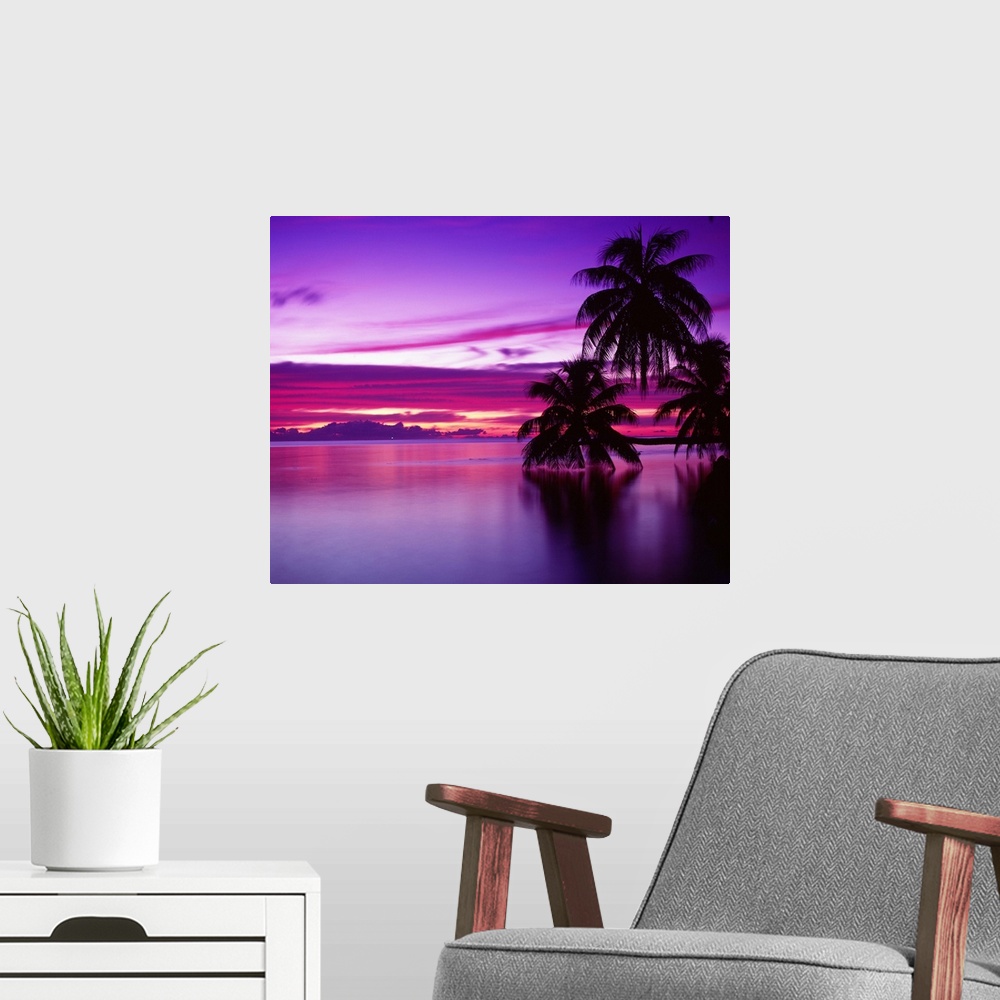 A modern room featuring Canvas photo art of a peaceful ocean with big palm trees silhouetted against a bright sunset.