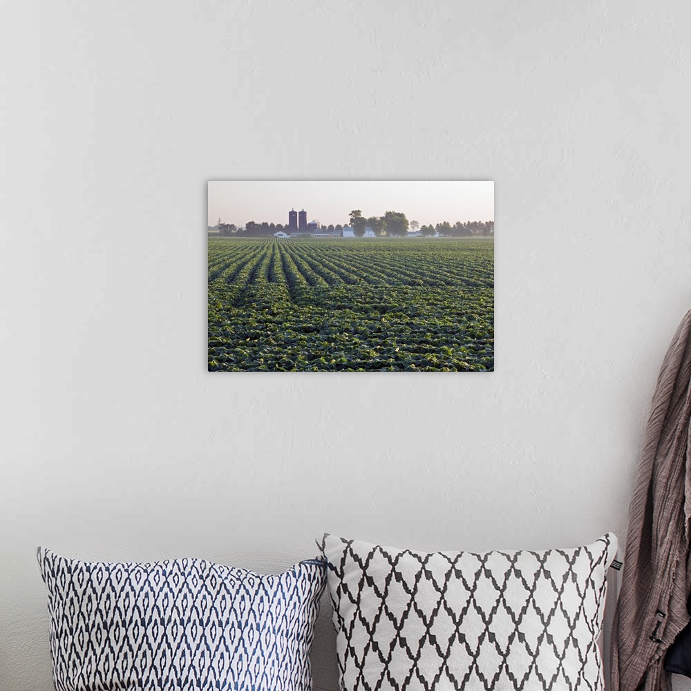 A bohemian room featuring Soy bean field, distant farm buildings, Iowa