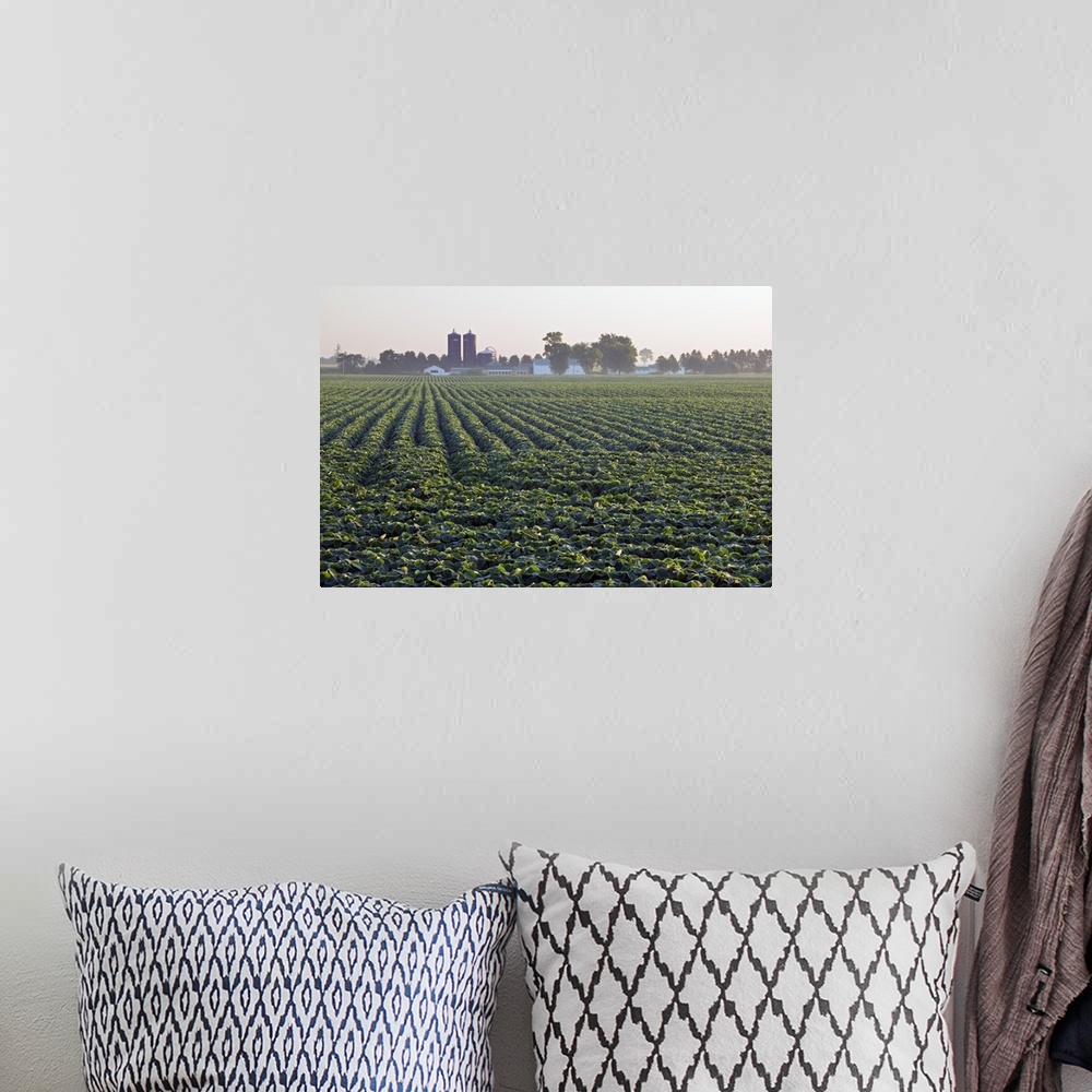A bohemian room featuring Soy bean field, distant farm buildings, Iowa