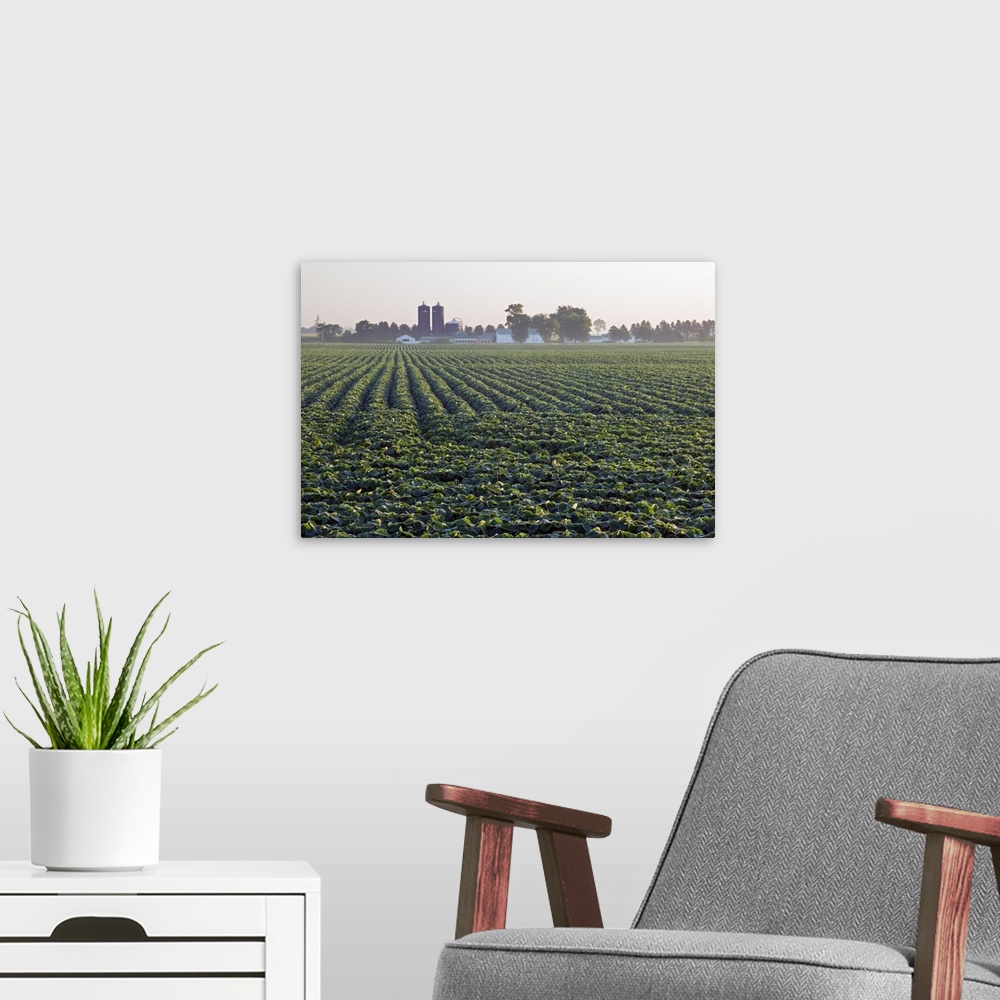 A modern room featuring Soy bean field, distant farm buildings, Iowa