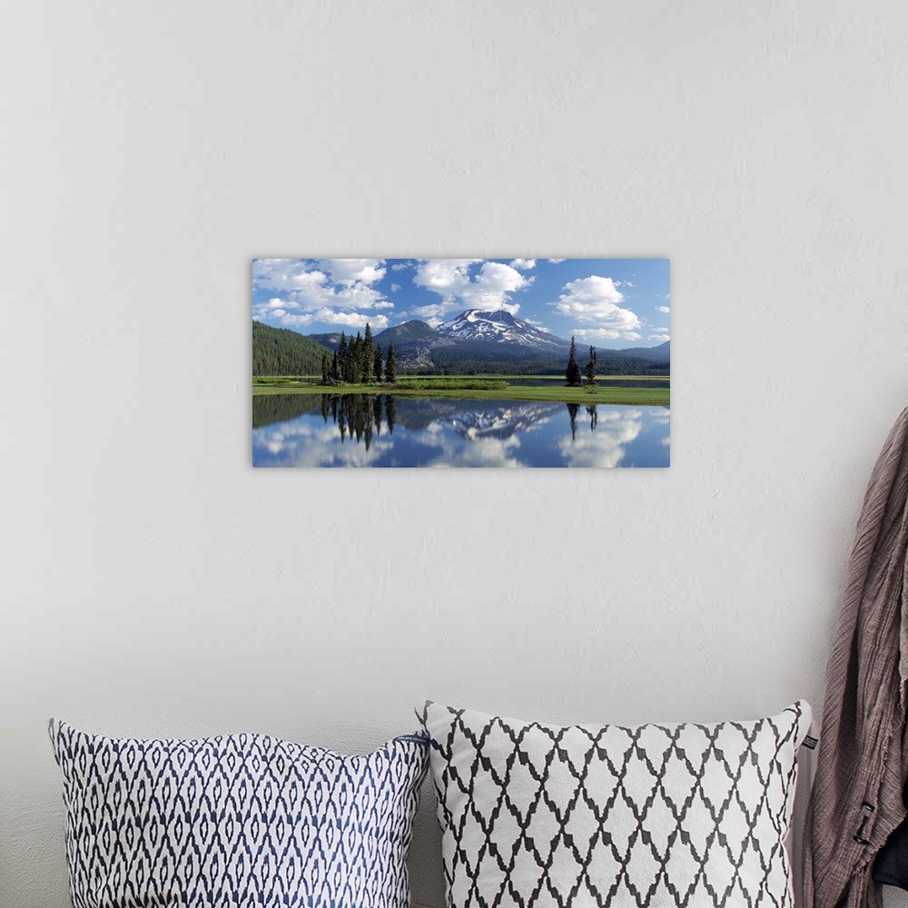 A bohemian room featuring Panoramic photograph of lake front meadow with trees and shrubbery.  A forest is in the backgroun...