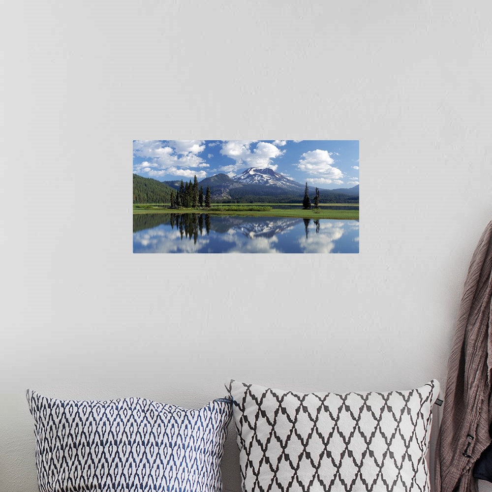 A bohemian room featuring Panoramic photograph of lake front meadow with trees and shrubbery.  A forest is in the backgroun...