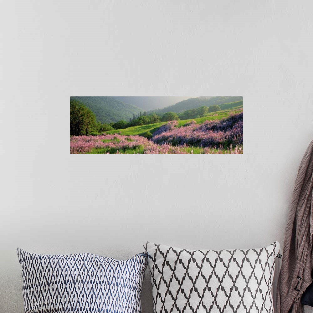 A bohemian room featuring Panoramic print of wildflowers on a hill in a park with rolling mountains in the distance.