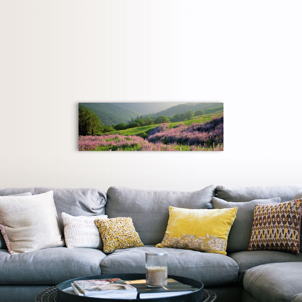 A farmhouse room featuring Panoramic print of wildflowers on a hill in a park with rolling mountains in the distance.