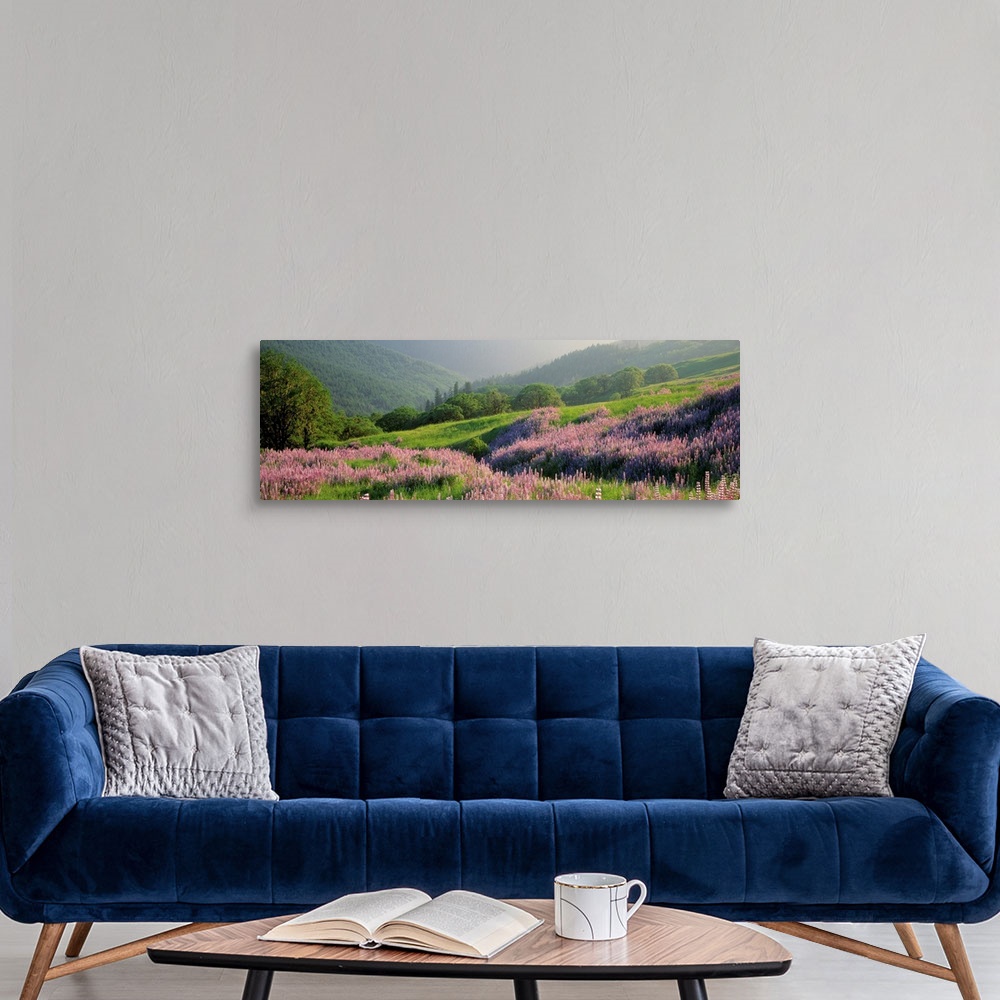 A modern room featuring Panoramic print of wildflowers on a hill in a park with rolling mountains in the distance.