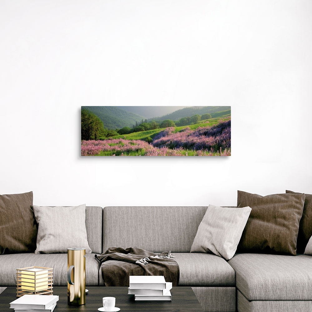 A traditional room featuring Panoramic print of wildflowers on a hill in a park with rolling mountains in the distance.