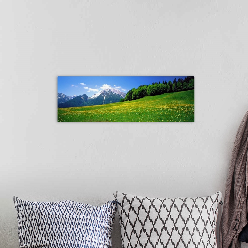 A bohemian room featuring Horizontal image on canvas of a field of wildflowers with rugged mountains and a forest in the di...