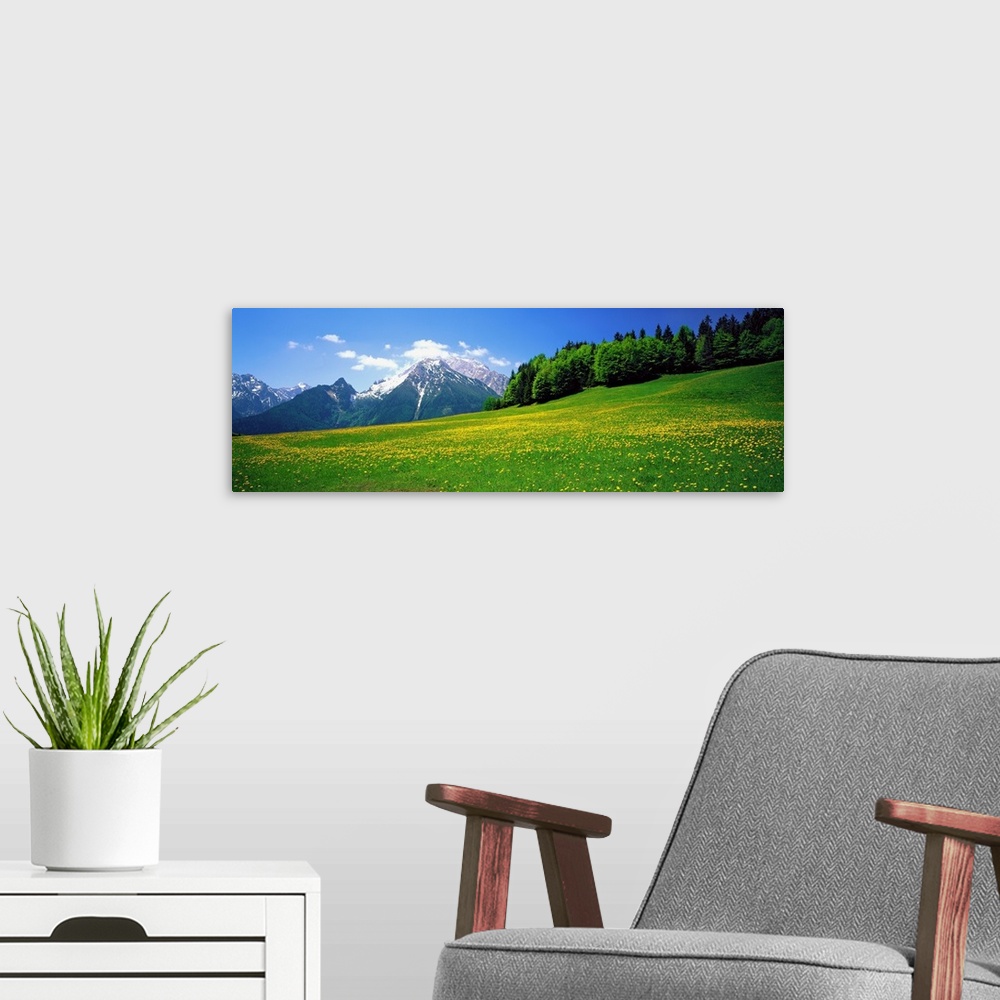 A modern room featuring Horizontal image on canvas of a field of wildflowers with rugged mountains and a forest in the di...