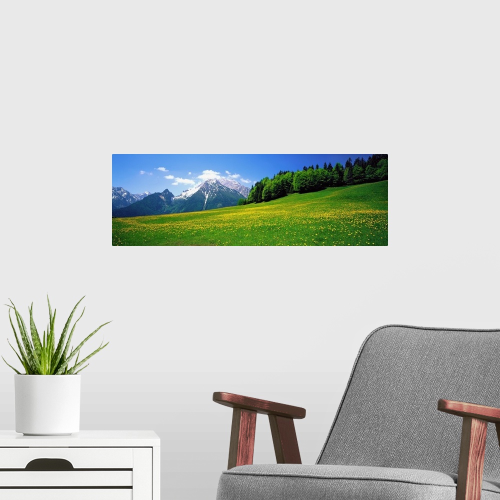 A modern room featuring Horizontal image on canvas of a field of wildflowers with rugged mountains and a forest in the di...