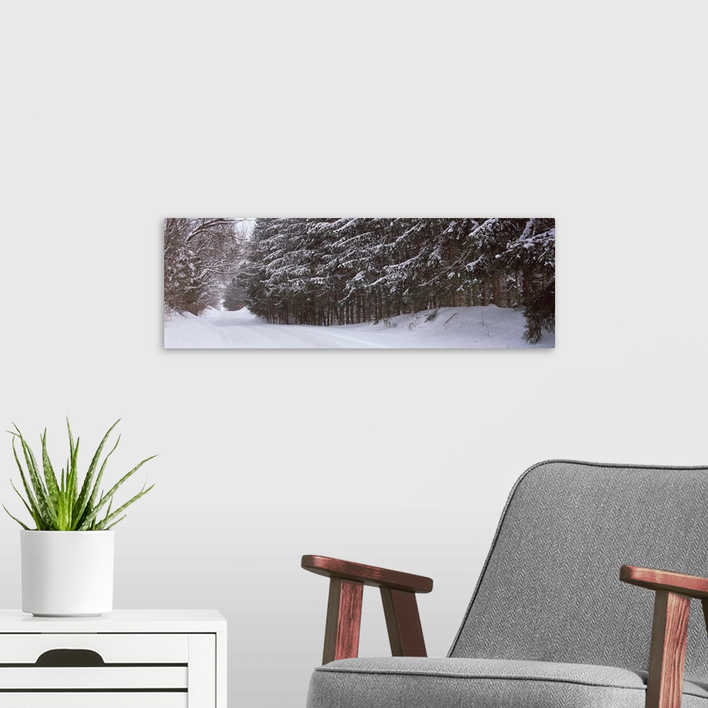 A modern room featuring Spruce trees along a snow covered road, Grand Rapids, Kent County, Michigan