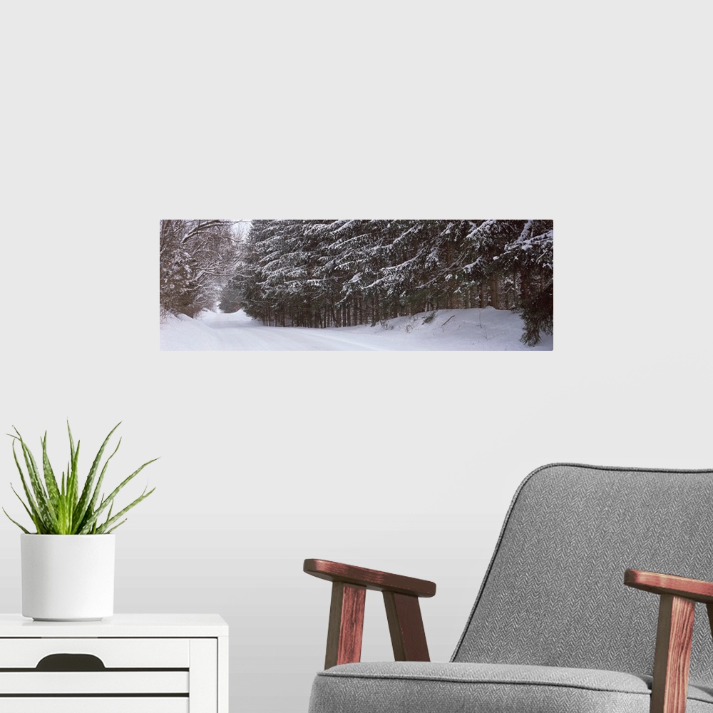 A modern room featuring Spruce trees along a snow covered road, Grand Rapids, Kent County, Michigan