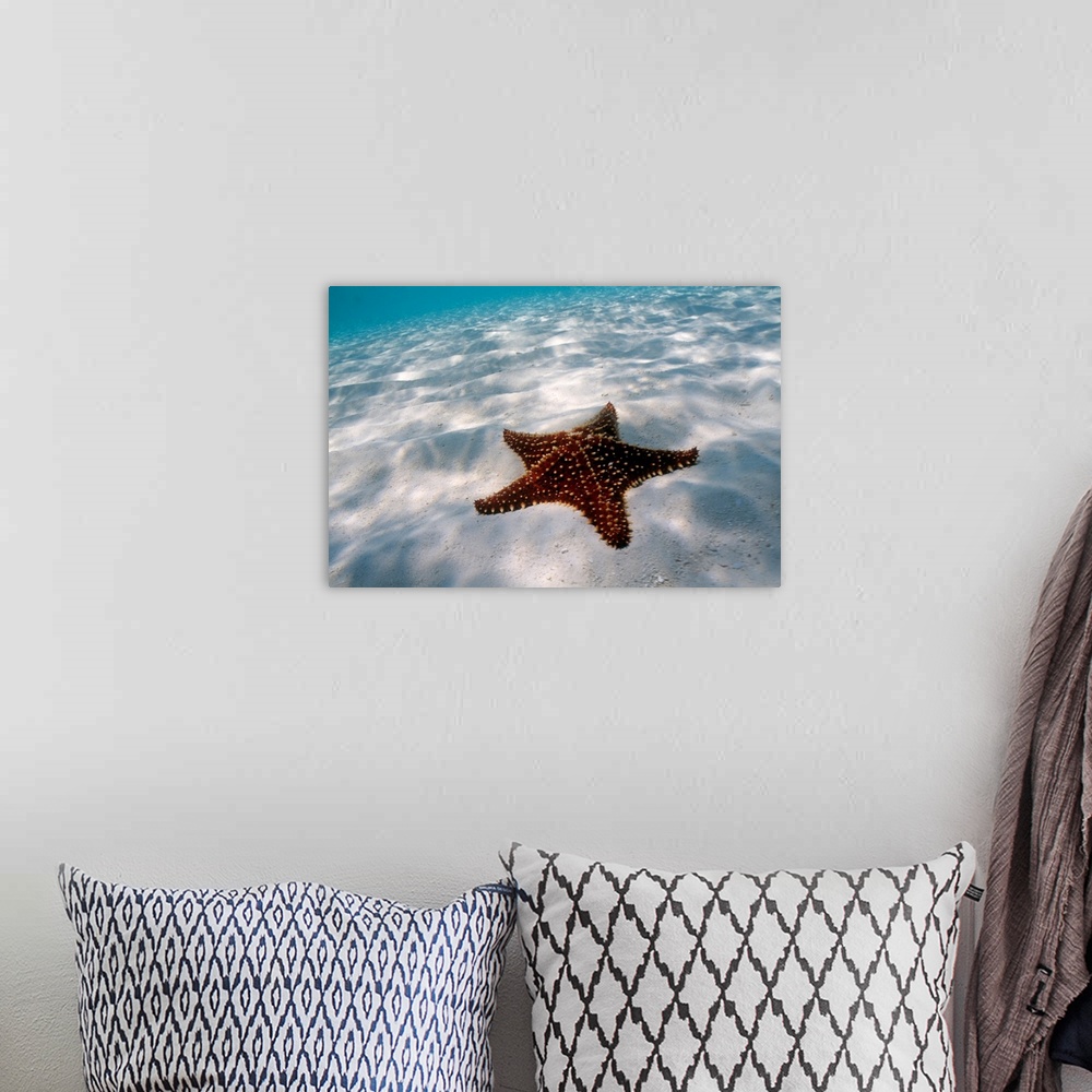 A bohemian room featuring Starfish on beach