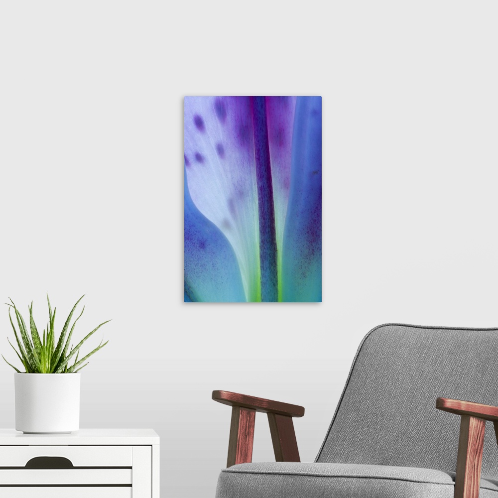 A modern room featuring Stargazer lily blossom, detail.