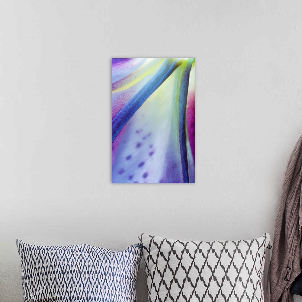 A bohemian room featuring Portrait, close up photograph on a big canvas of part of a  multi-colored stargazer lily bloom.