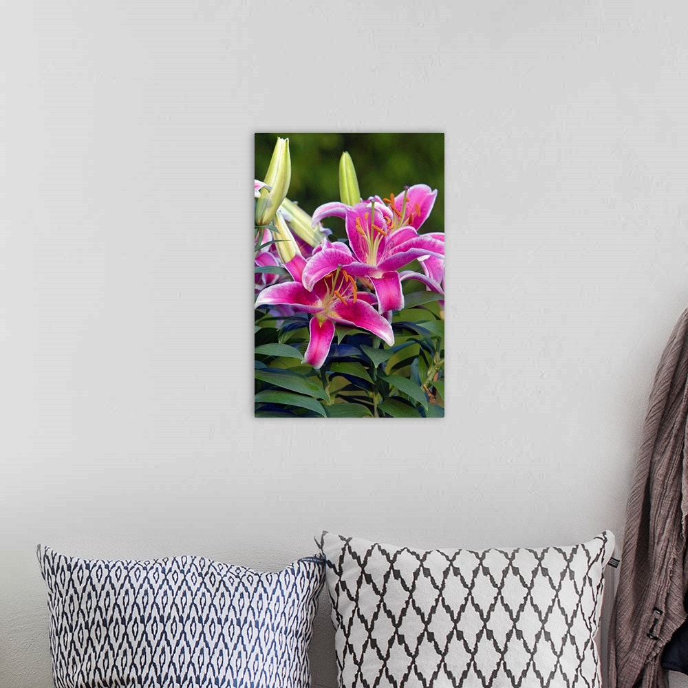 A bohemian room featuring Vertical panoramic photograph of flower blossoms and buds.