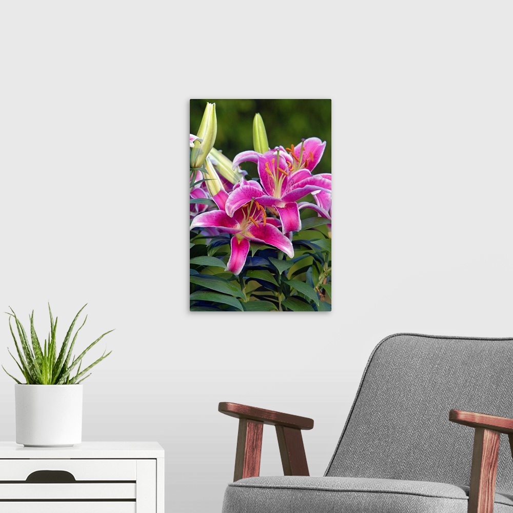 A modern room featuring Vertical panoramic photograph of flower blossoms and buds.