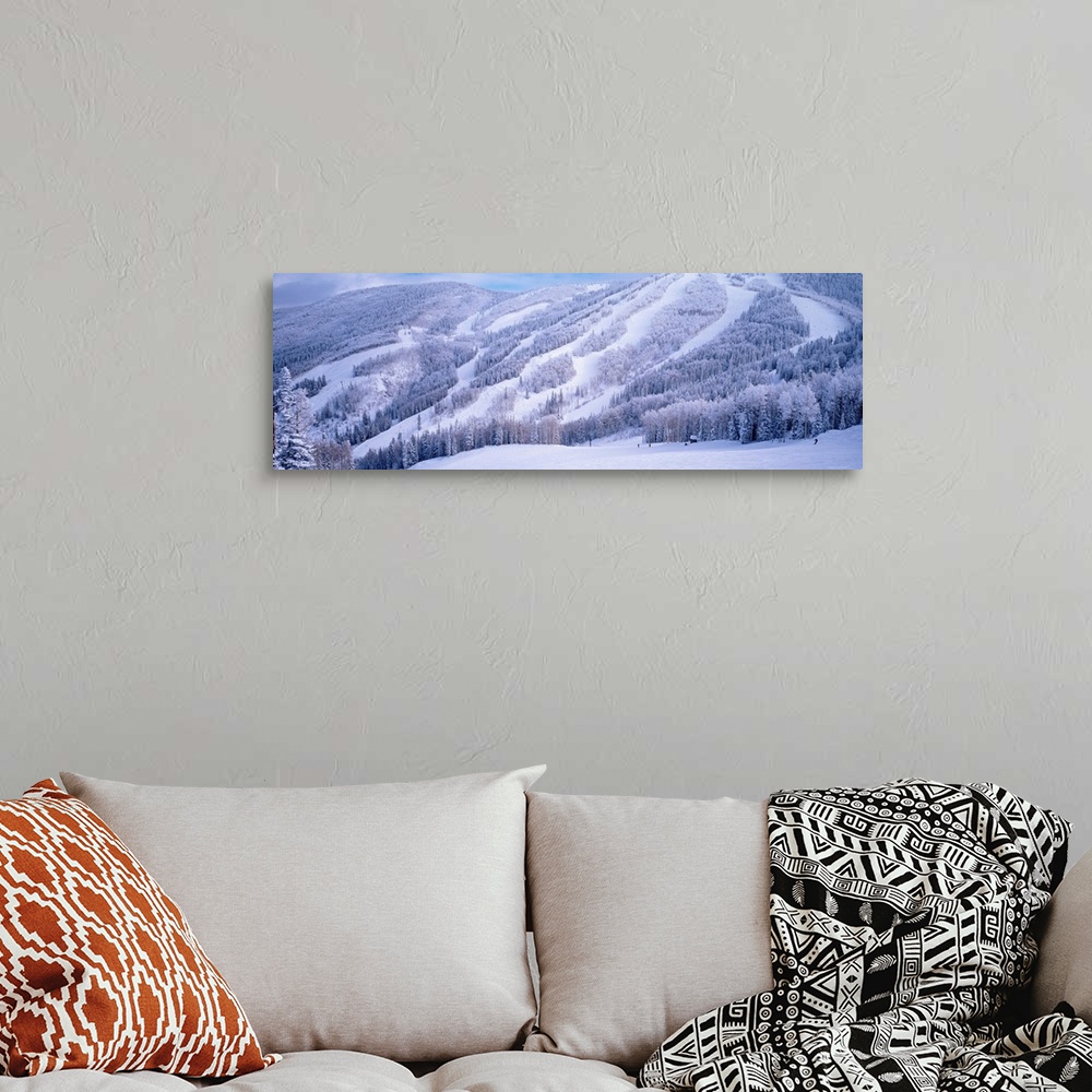 A bohemian room featuring Panoramic photograph displays a monochromatic mountain scene packed with trees that has been blan...