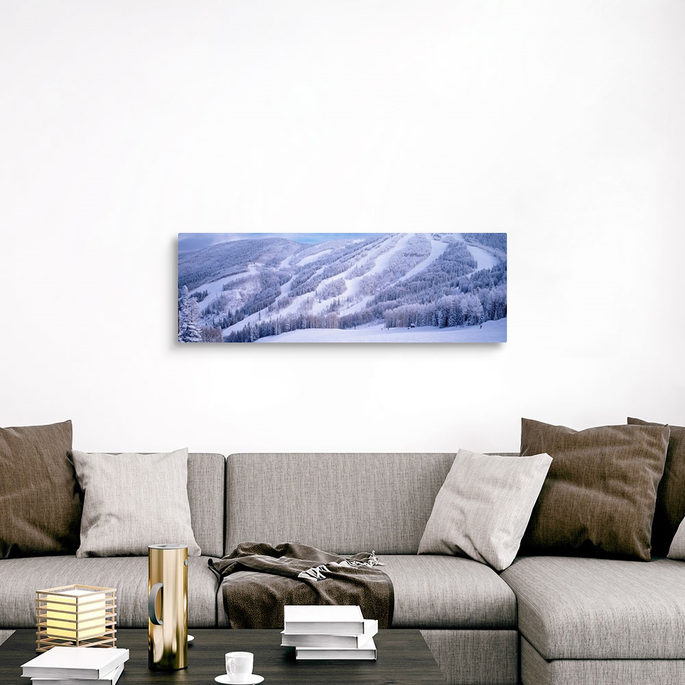 A traditional room featuring Panoramic photograph displays a monochromatic mountain scene packed with trees that has been blan...