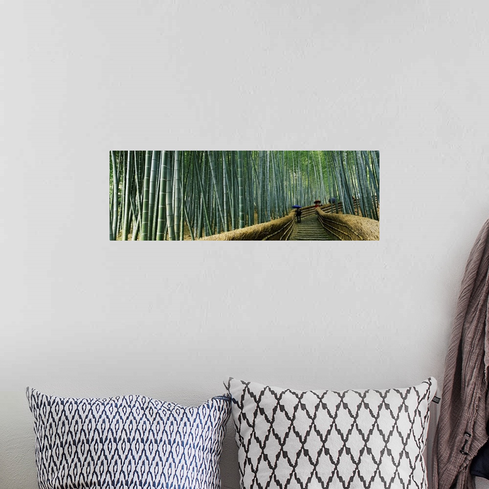 A bohemian room featuring Panoramic photograph of wooden pathway winding through Asian forest.