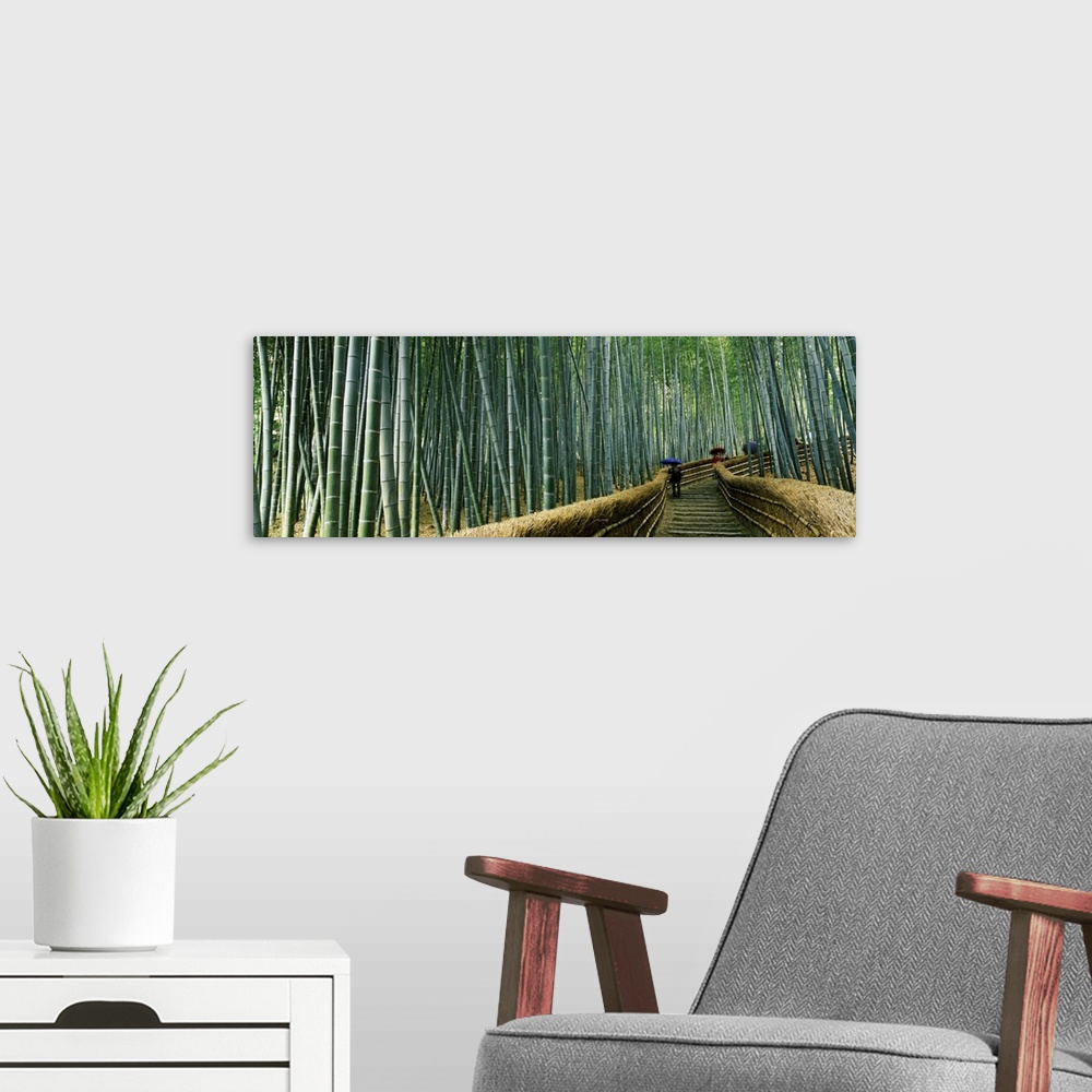 A modern room featuring Panoramic photograph of wooden pathway winding through Asian forest.