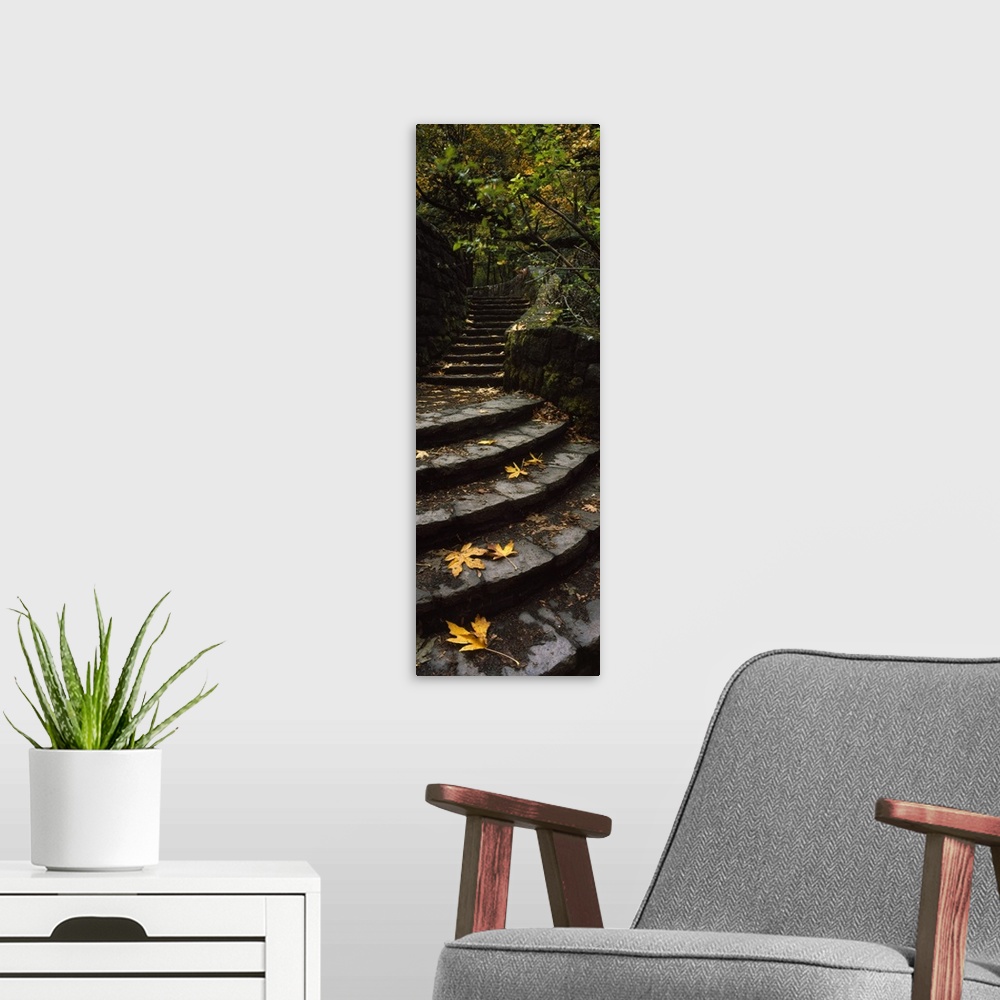 A modern room featuring Steps to Horsetail Falls Columbia River Gorge Multnomah County Oregon