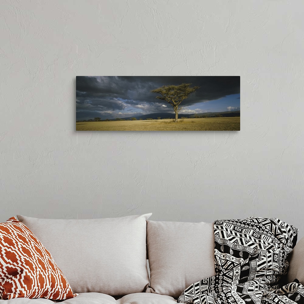 A bohemian room featuring A lone tree grows in the open of this African savannah as storm clouds gather over the horizon.