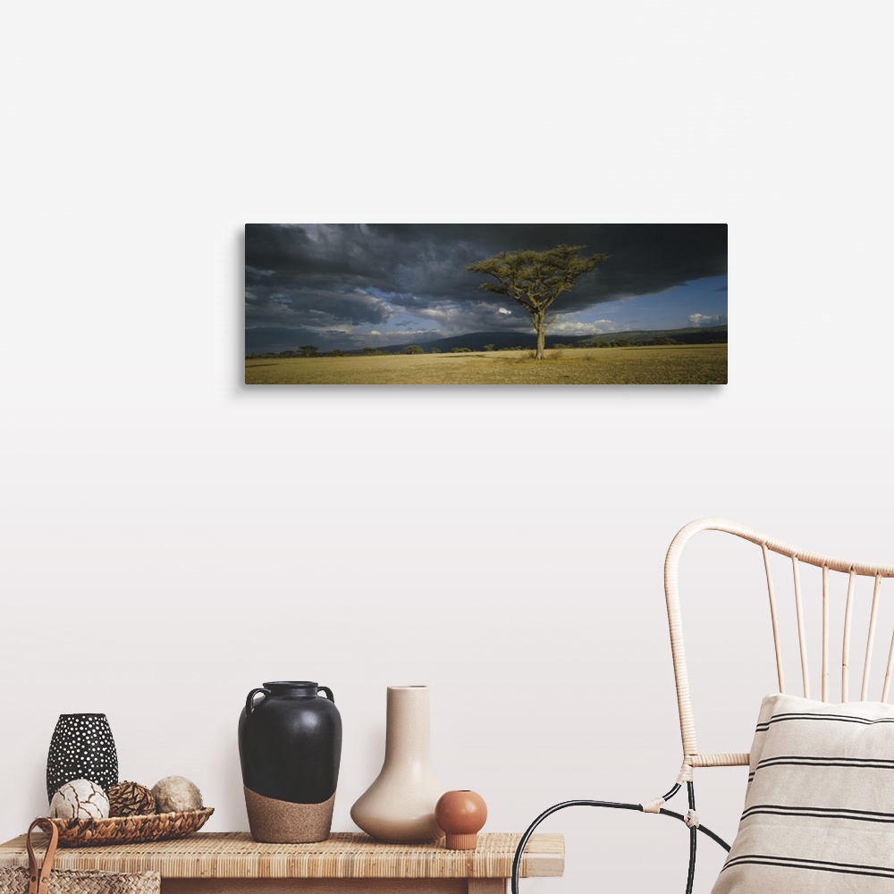 A farmhouse room featuring A lone tree grows in the open of this African savannah as storm clouds gather over the horizon.