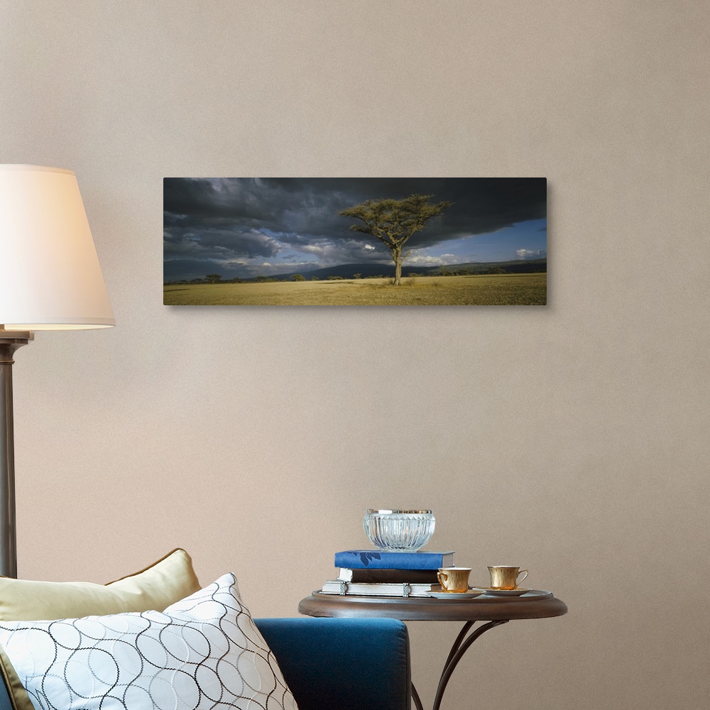 A traditional room featuring A lone tree grows in the open of this African savannah as storm clouds gather over the horizon.