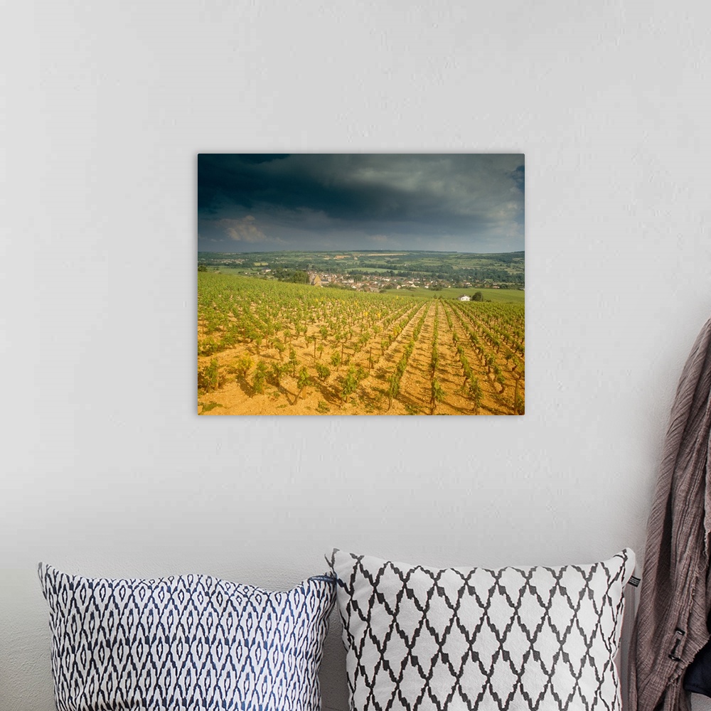 A bohemian room featuring Storm clouds over vineyards, Chassagne-Montrachet, Cote De Beaune, Burgundy, France