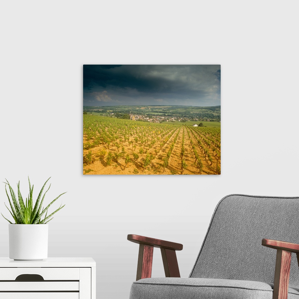 A modern room featuring Storm clouds over vineyards, Chassagne-Montrachet, Cote De Beaune, Burgundy, France