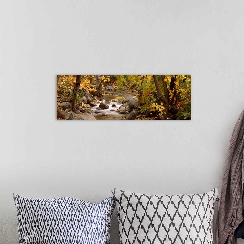 A bohemian room featuring Panoramic photograph of water running through autumn forest over large rocks an boulders.