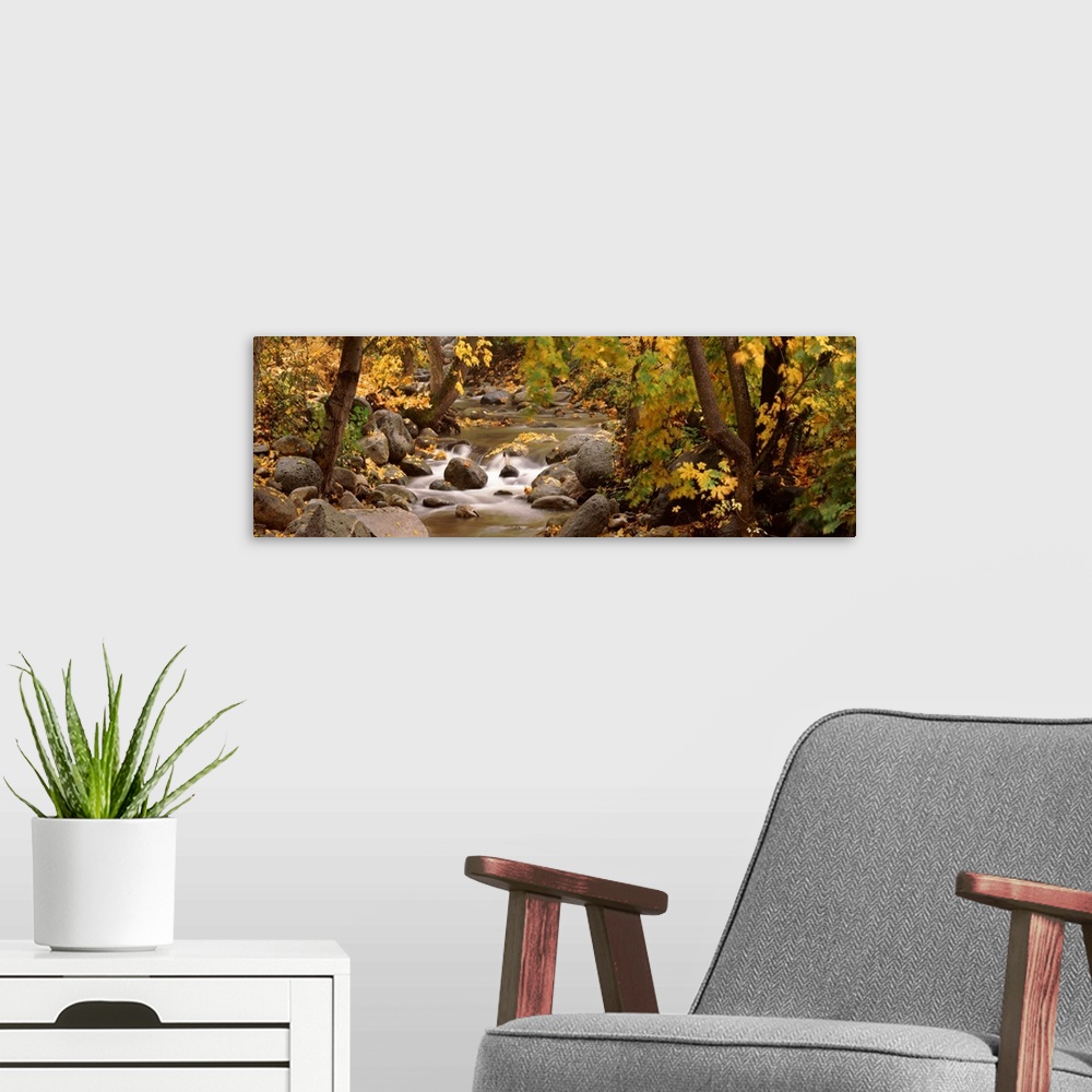 A modern room featuring Panoramic photograph of water running through autumn forest over large rocks an boulders.