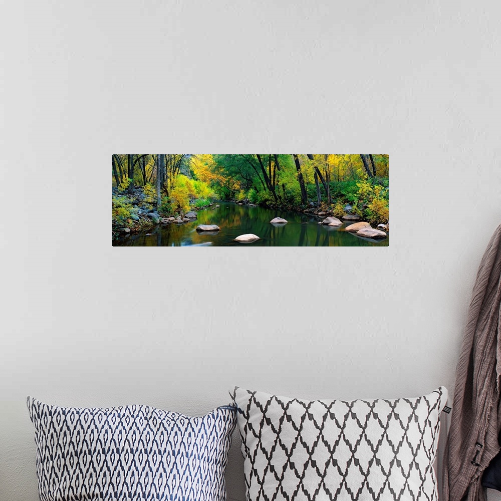 A bohemian room featuring A calm stream flows through a forest in this panoramic landscape photograph.