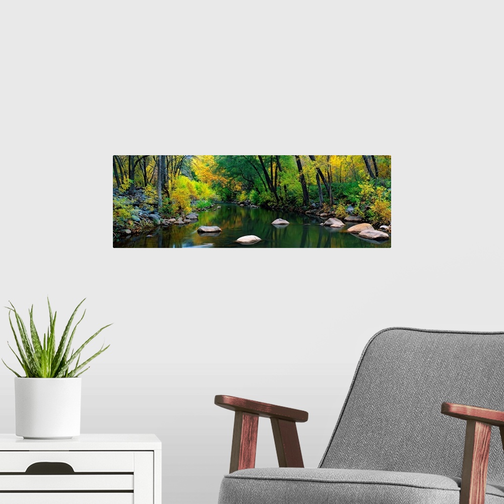 A modern room featuring A calm stream flows through a forest in this panoramic landscape photograph.