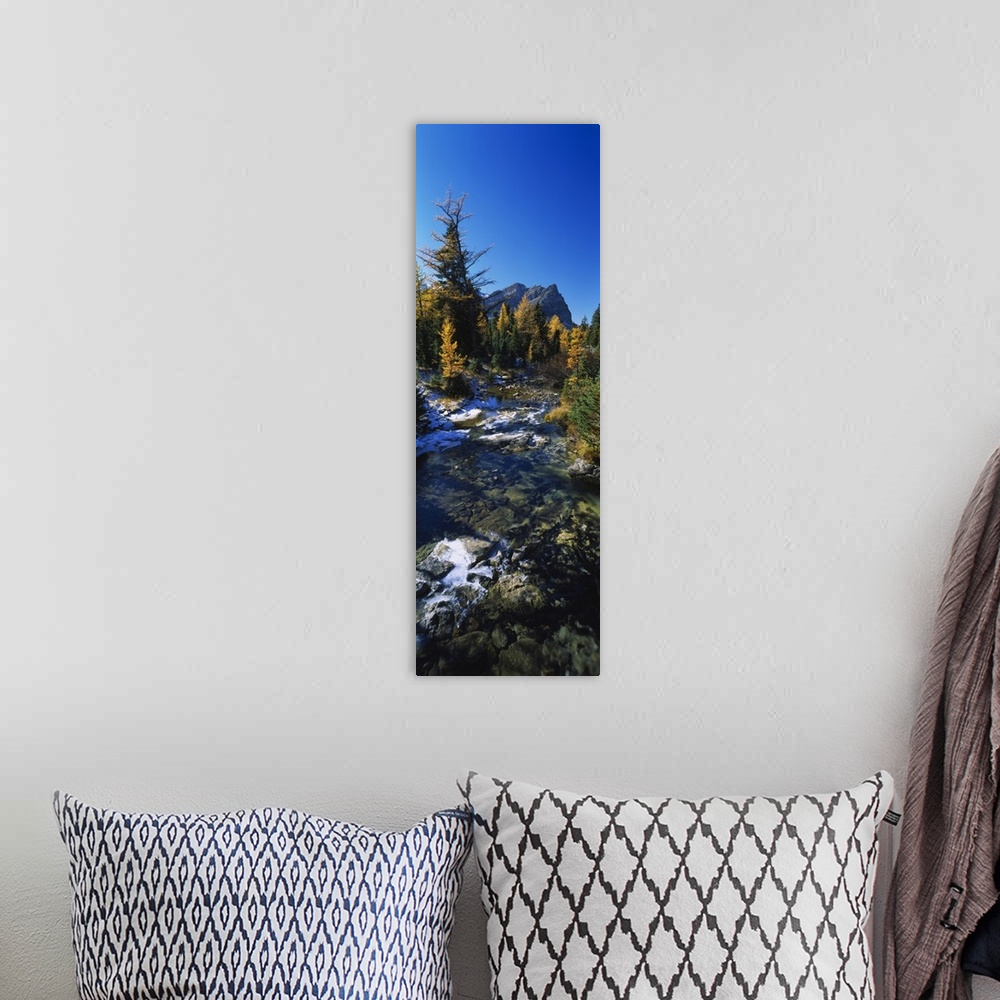 A bohemian room featuring Vertical panoramic canvas of water running through a forest with fall foliage and a rugged mounta...