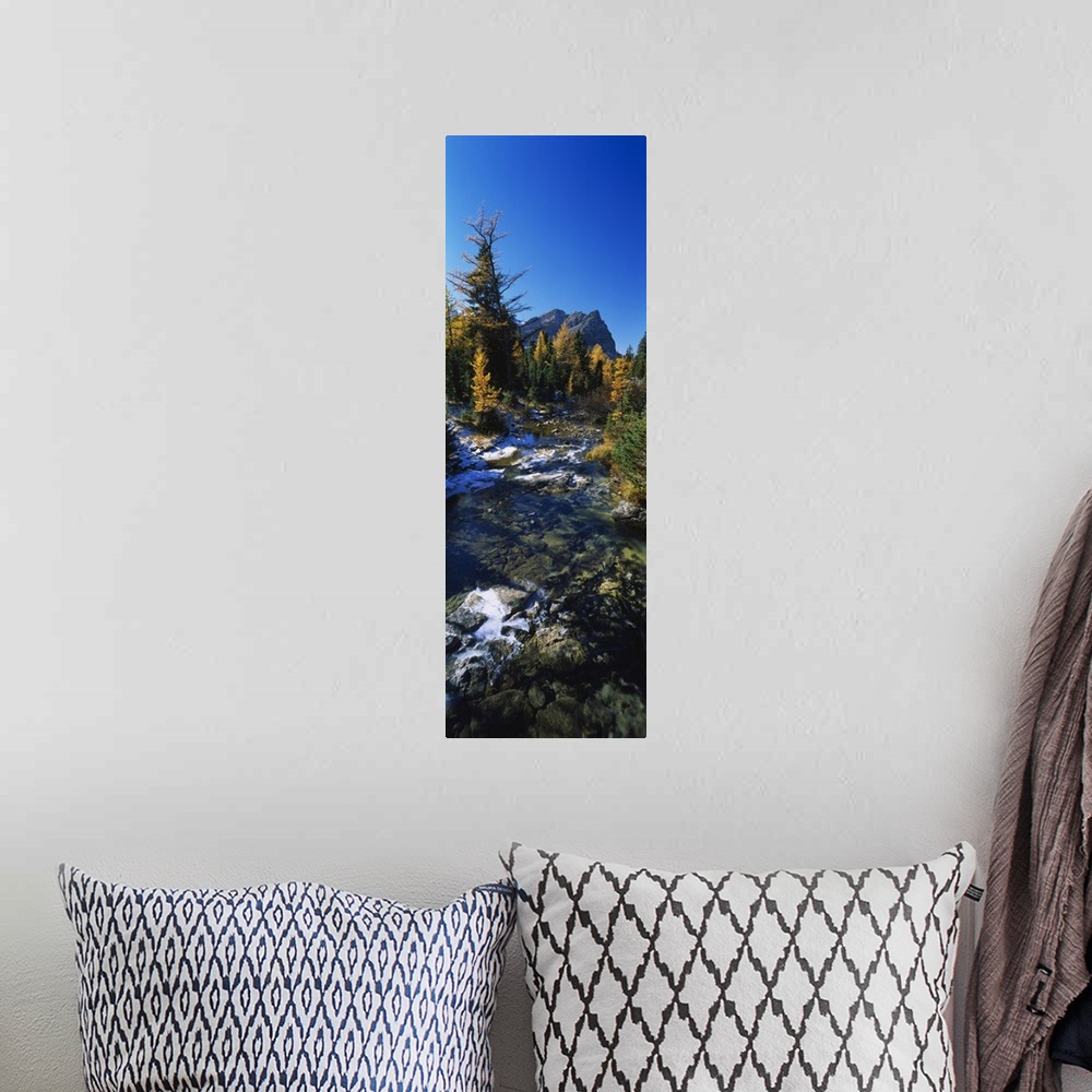 A bohemian room featuring Vertical panoramic canvas of water running through a forest with fall foliage and a rugged mounta...