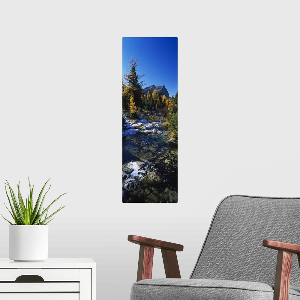 A modern room featuring Vertical panoramic canvas of water running through a forest with fall foliage and a rugged mounta...
