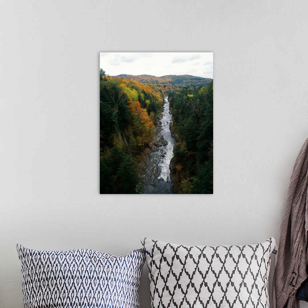 A bohemian room featuring Stream flowing in a forest, Quechee Gorge, Windsor County, Vermont,