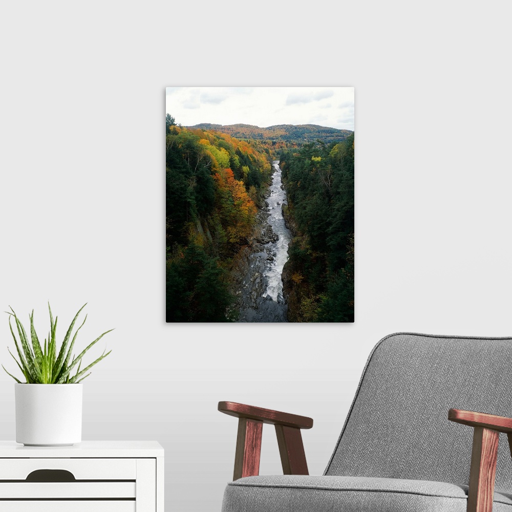 A modern room featuring Stream flowing in a forest, Quechee Gorge, Windsor County, Vermont,