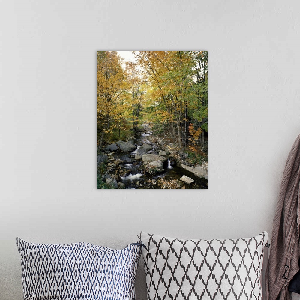 A bohemian room featuring Vertical photograph on a large canvas of a rocky stream running through an autumn colored forest ...