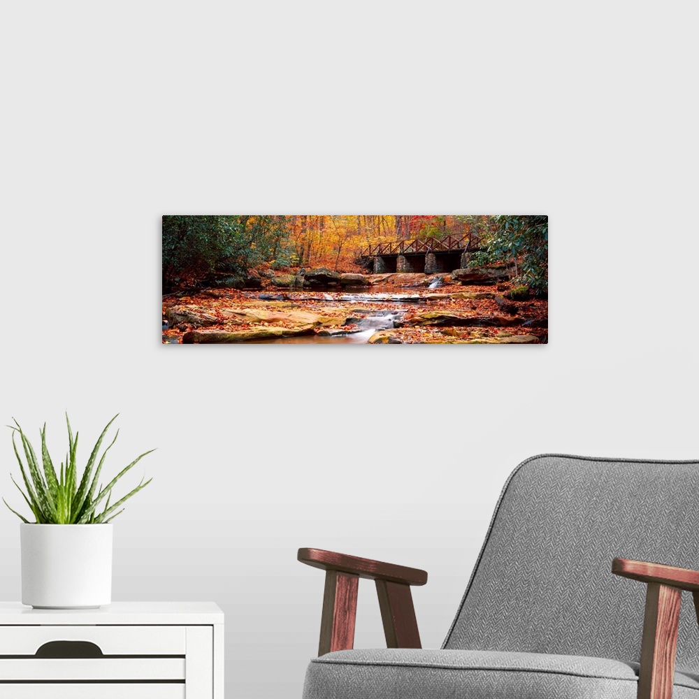 A modern room featuring Stream flowing in autumn forest, Cucunber Run, Ohiopyle State Park, Fayette County, Pennsylvania,